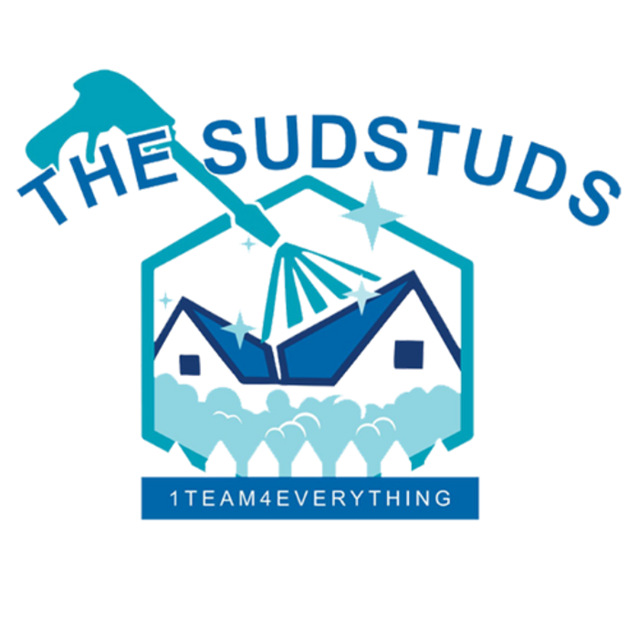 The Sud Studs - Saginaw, MI