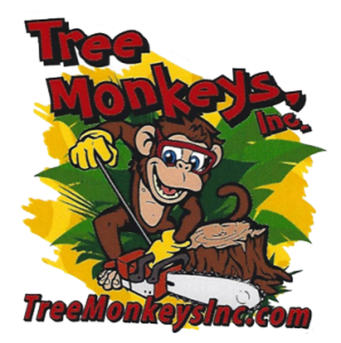 Tree Monkeys - Oviedo, FL