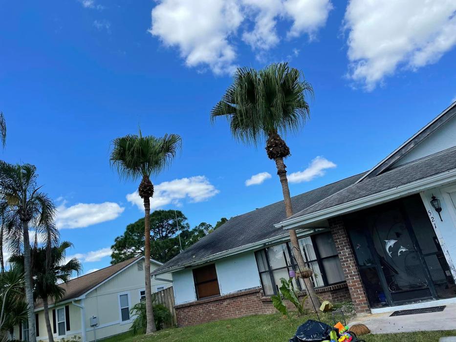 2 Tree Fellers - Port Saint Lucie, FL