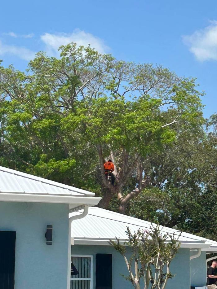 2 Tree Fellers - Port Saint Lucie, FL