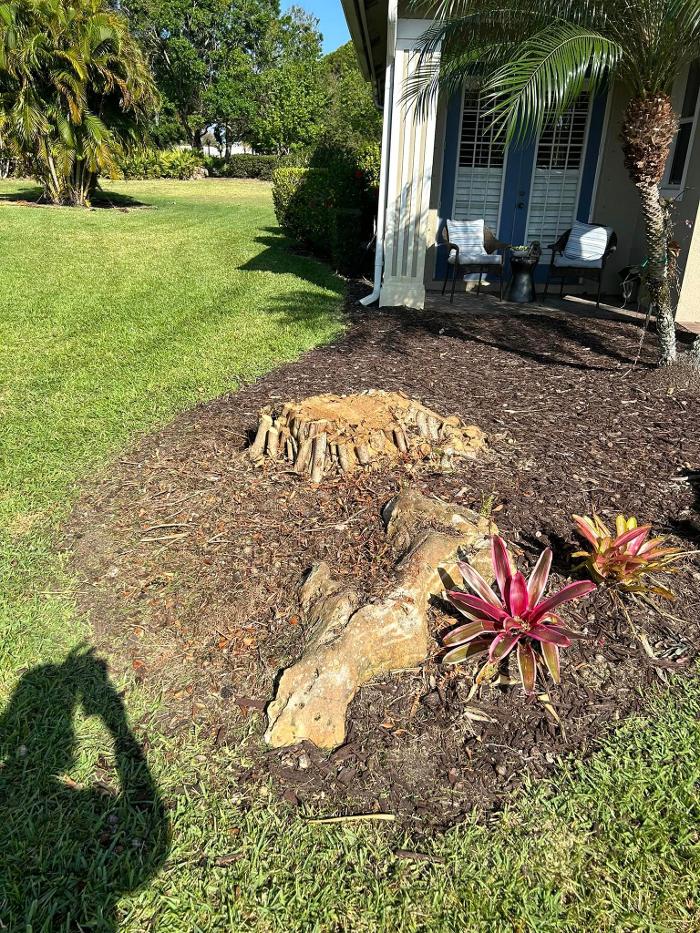 2 Tree Fellers - Port Saint Lucie, FL