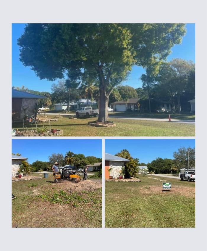2 Tree Fellers - Port Saint Lucie, FL