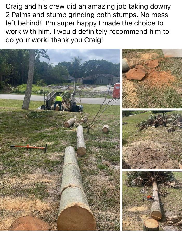2 Tree Fellers - Port Saint Lucie, FL