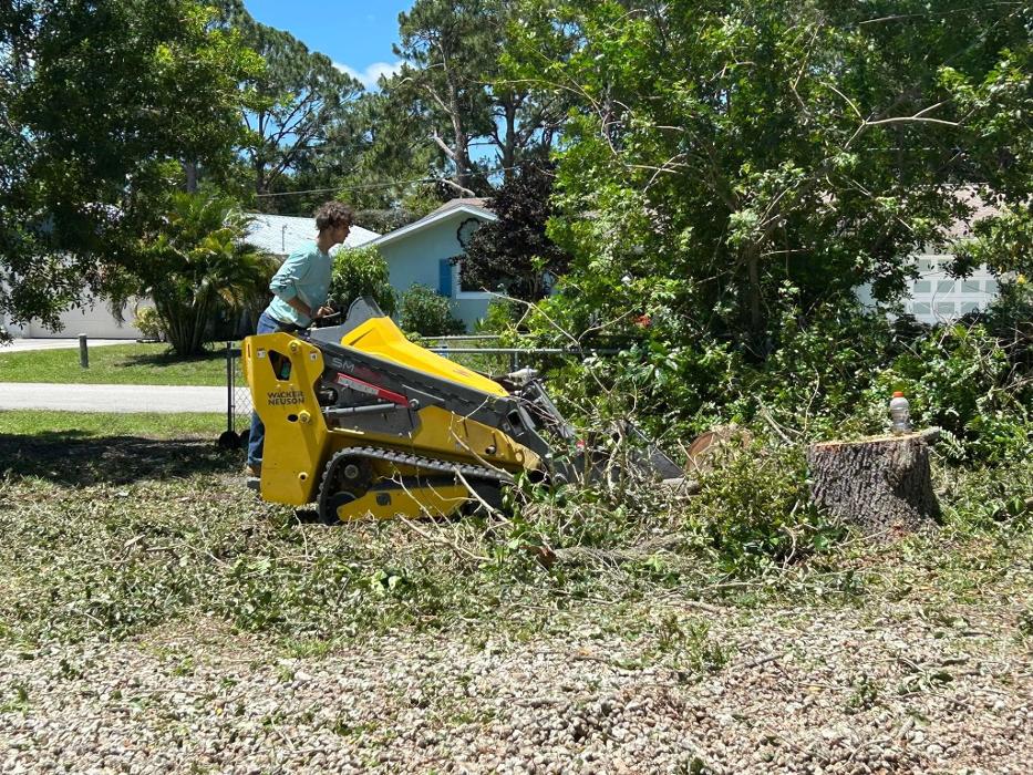 2 Tree Fellers - Port Saint Lucie, FL