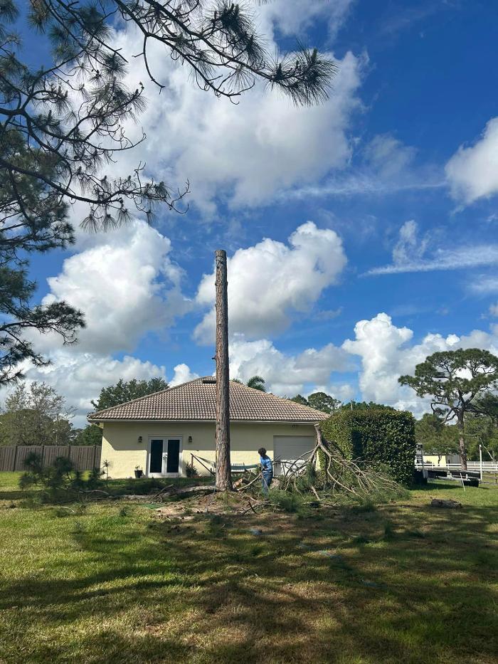 2 Tree Fellers - Port Saint Lucie, FL