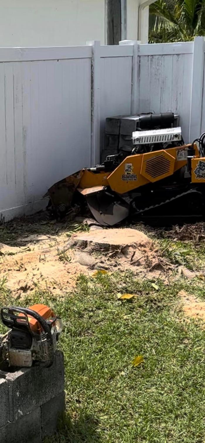 2 Tree Fellers - Port Saint Lucie, FL