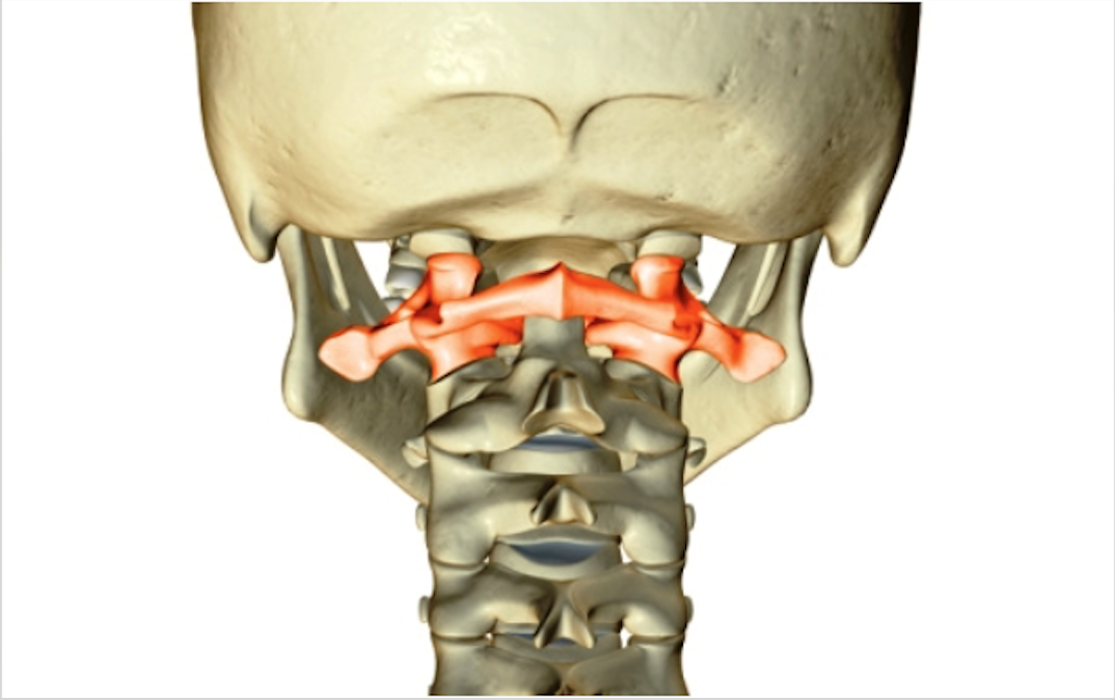 Atlantomed - Gesundheitswerkstatt Kritzendorf in Klosterneuburg