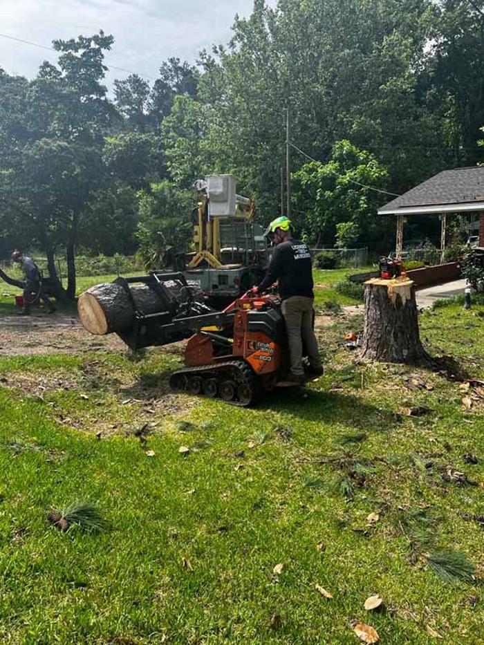 Dixon Trees - Lexington, SC