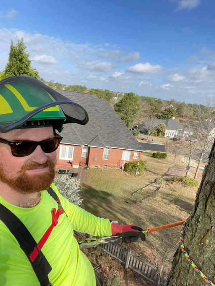 Dixon Trees - Lexington, SC