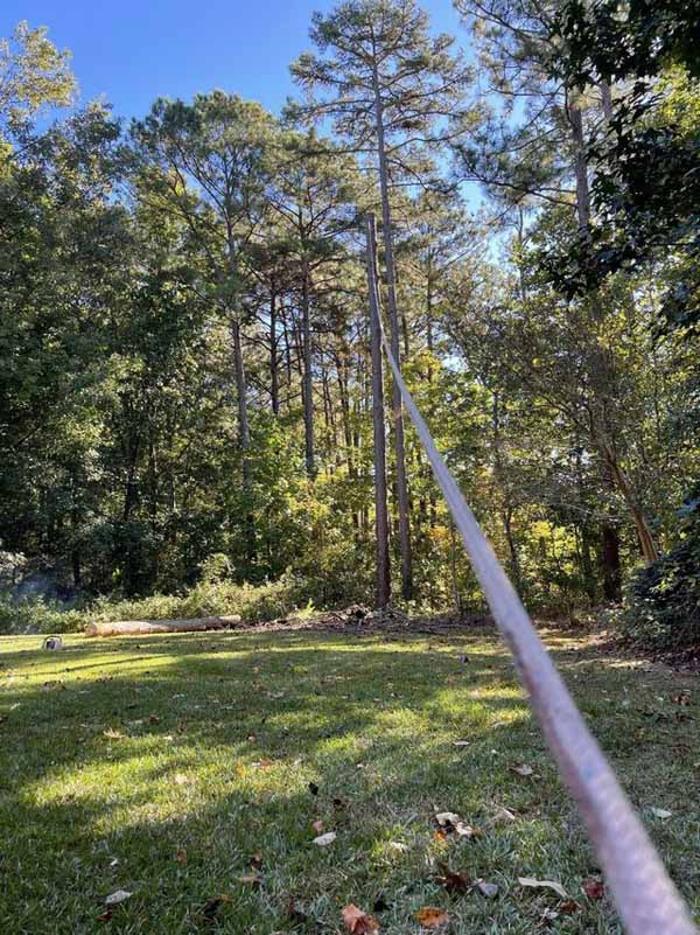 Dixon Trees - Lexington, SC