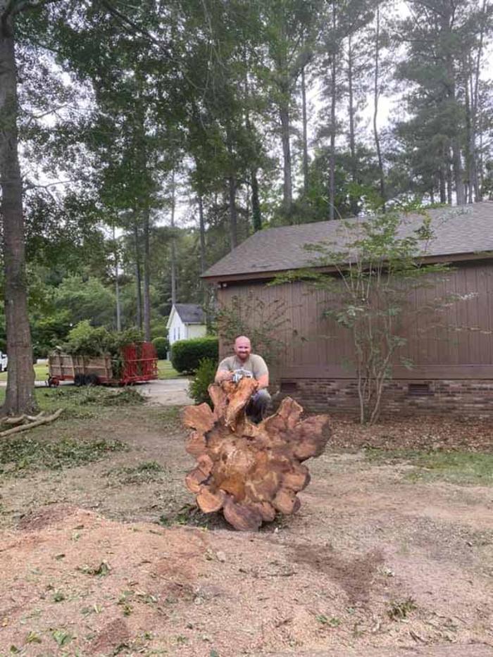 Dixon Trees - Lexington, SC