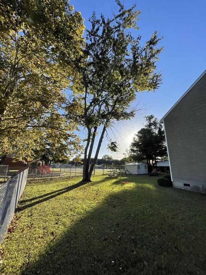 Dixon Trees - Lexington, SC