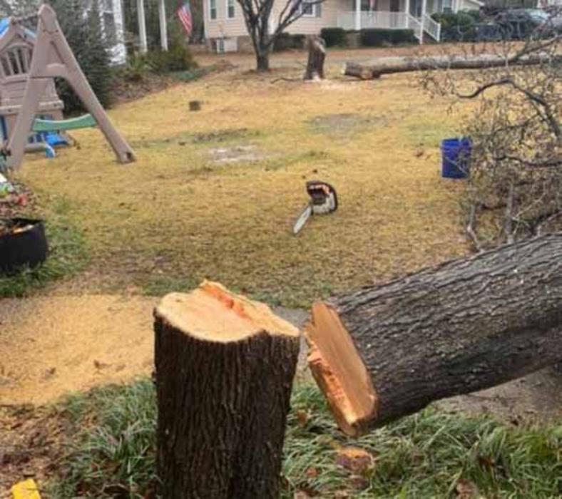 Dixon Trees - Lexington, SC