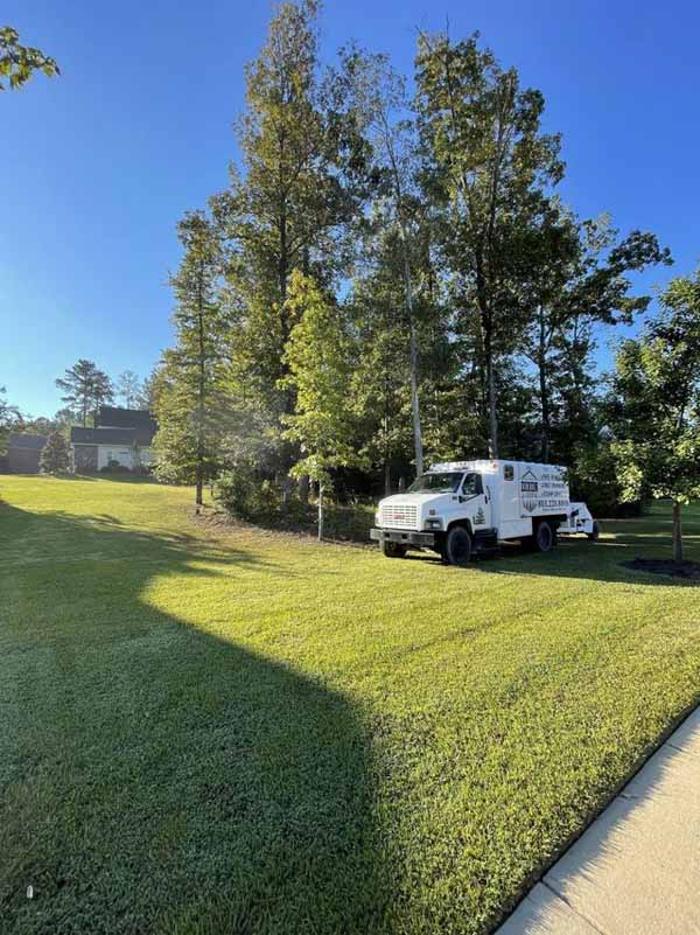 Dixon Trees - Lexington, SC