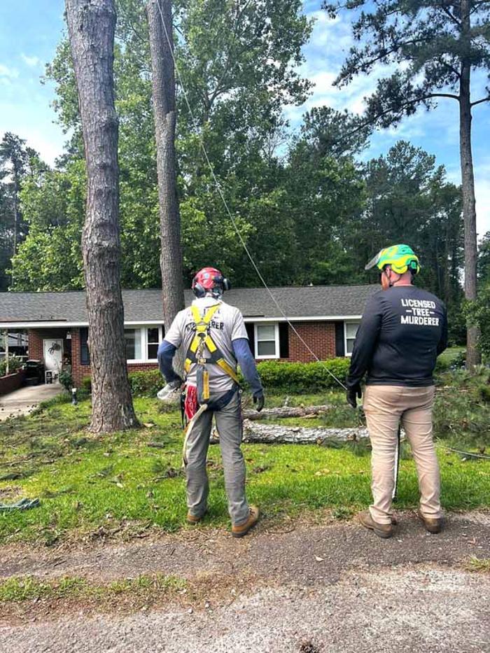 Dixon Trees - Lexington, SC