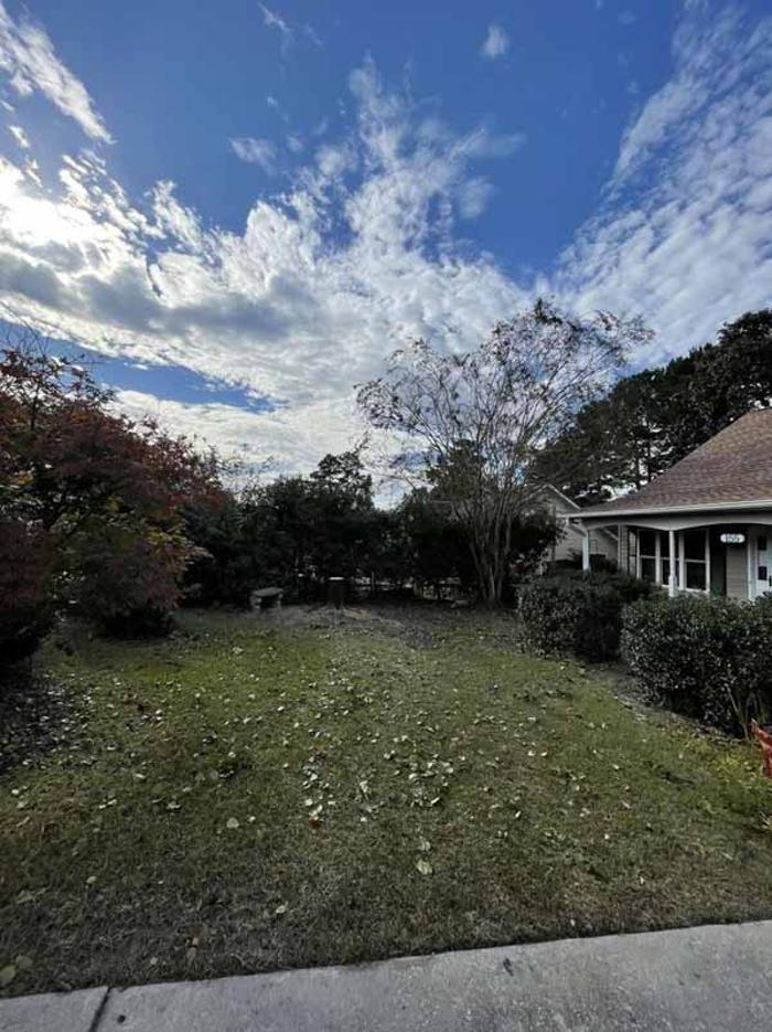 Dixon Trees - Lexington, SC