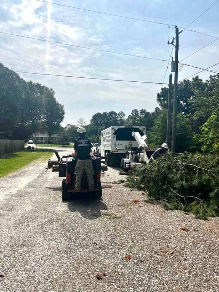 Dixon Trees - Lexington, SC