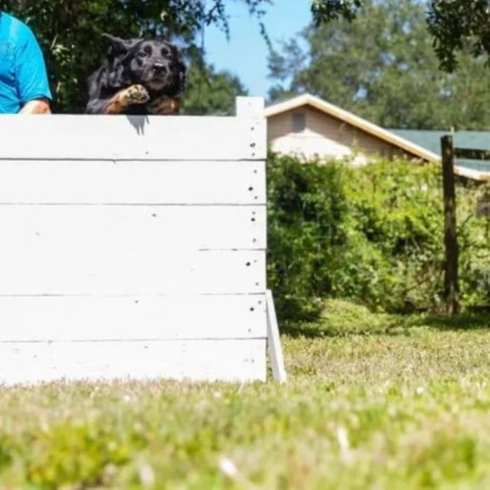 Southwest Florida K9 Services - North Fort Myers, FL