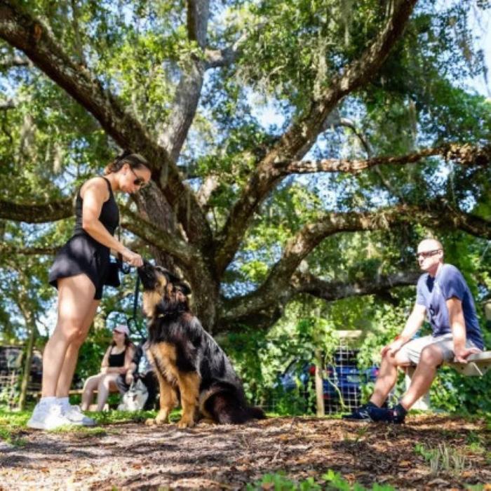 Southwest Florida K9 Services - North Fort Myers, FL