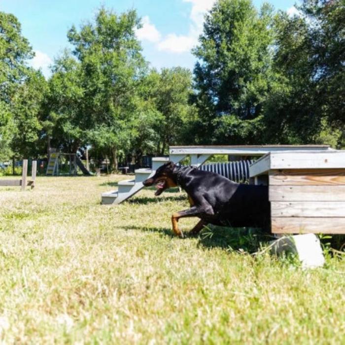 Southwest Florida K9 Services - North Fort Myers, FL