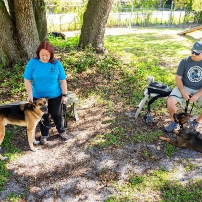 Southwest Florida K9 Services - North Fort Myers, FL