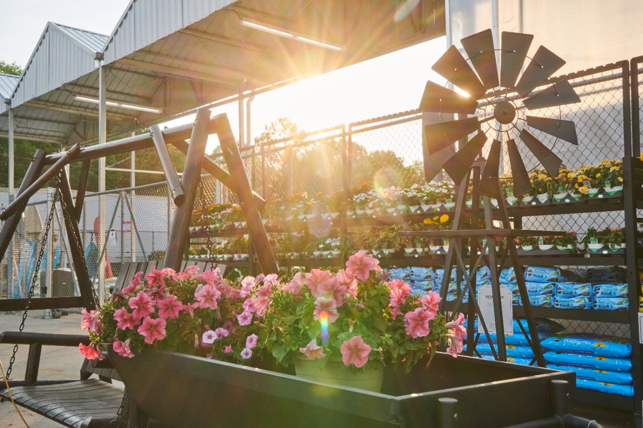 Image 6 | Garden Center at Tractor Supply