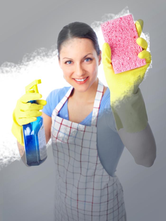 House Keeping Ladies, LLC - Duluth, GA