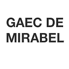 Pesenti Frères Expert