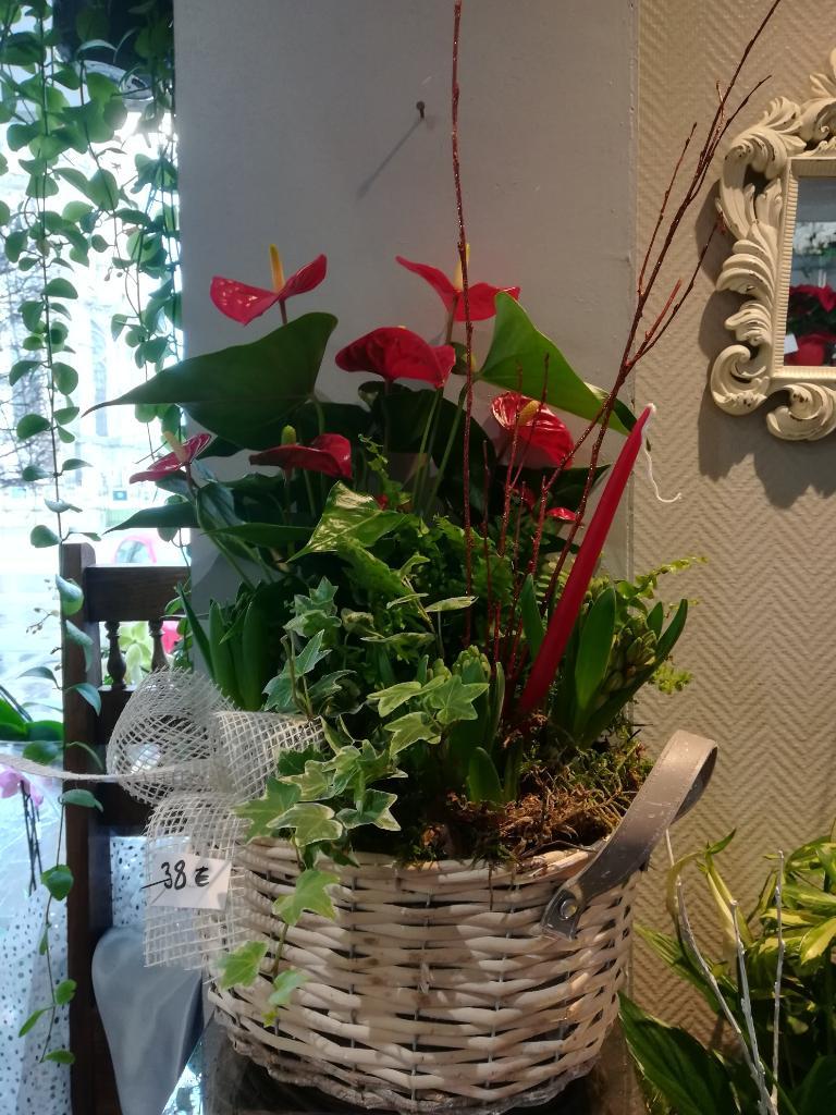 galerie image