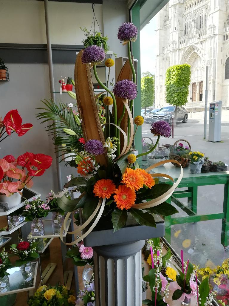 galerie image