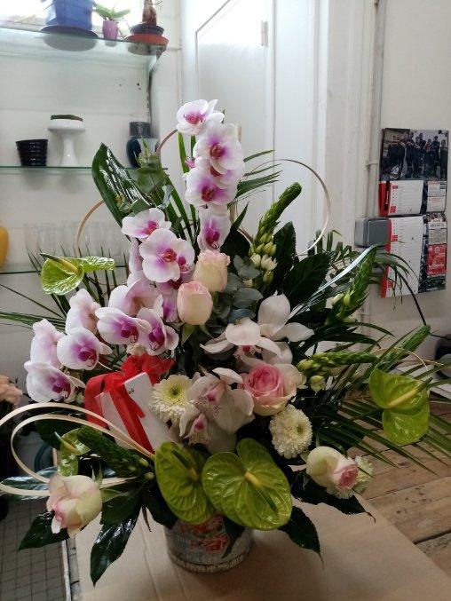 galerie image