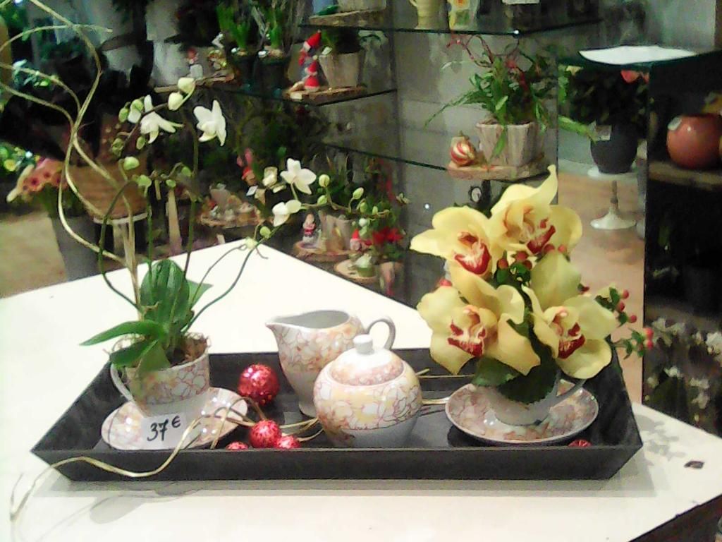 galerie image