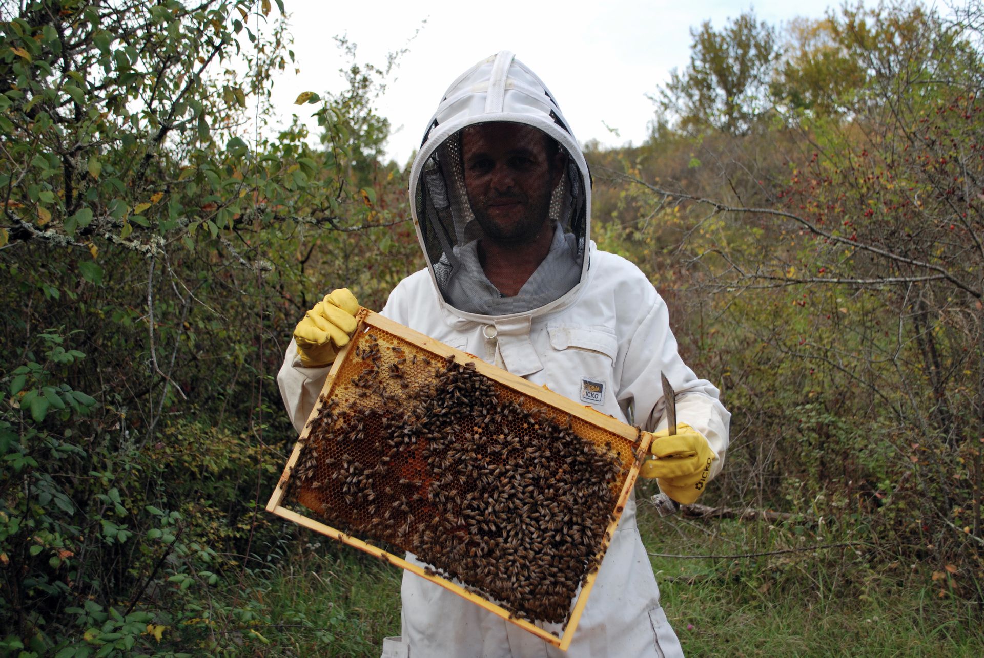 galerie image galerie image