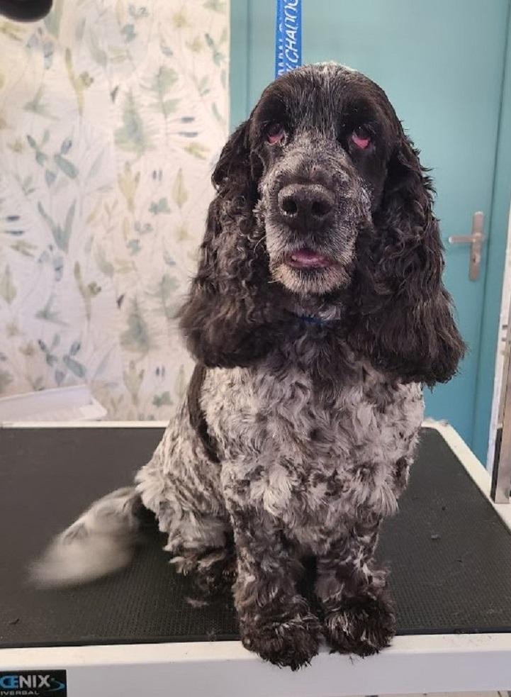 galerie image galerie image