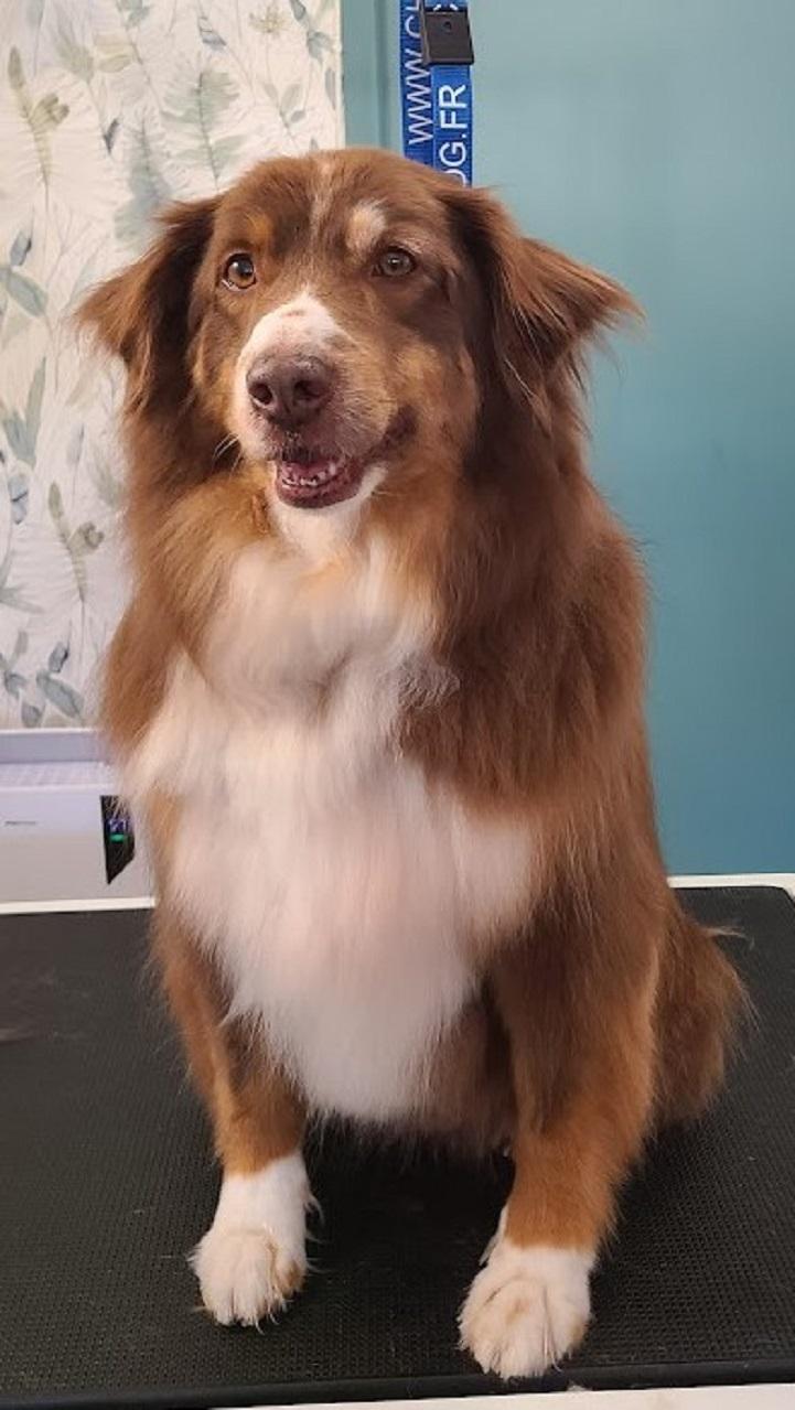 galerie image galerie image