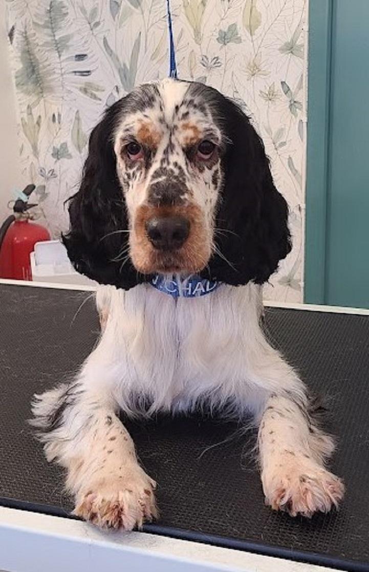 galerie image galerie image