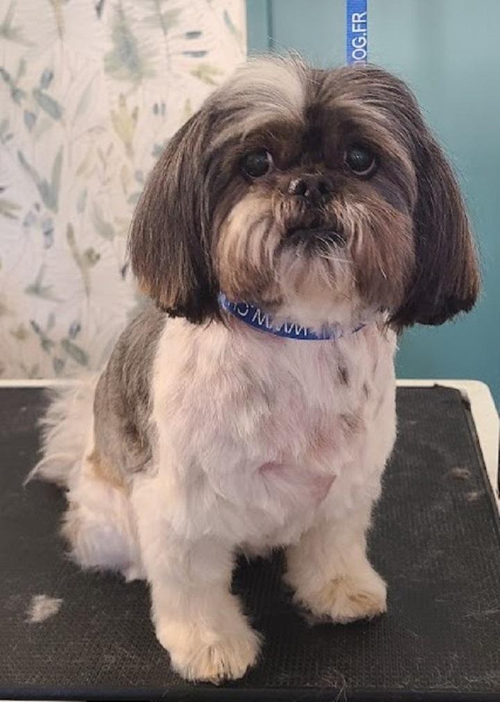 galerie image galerie image