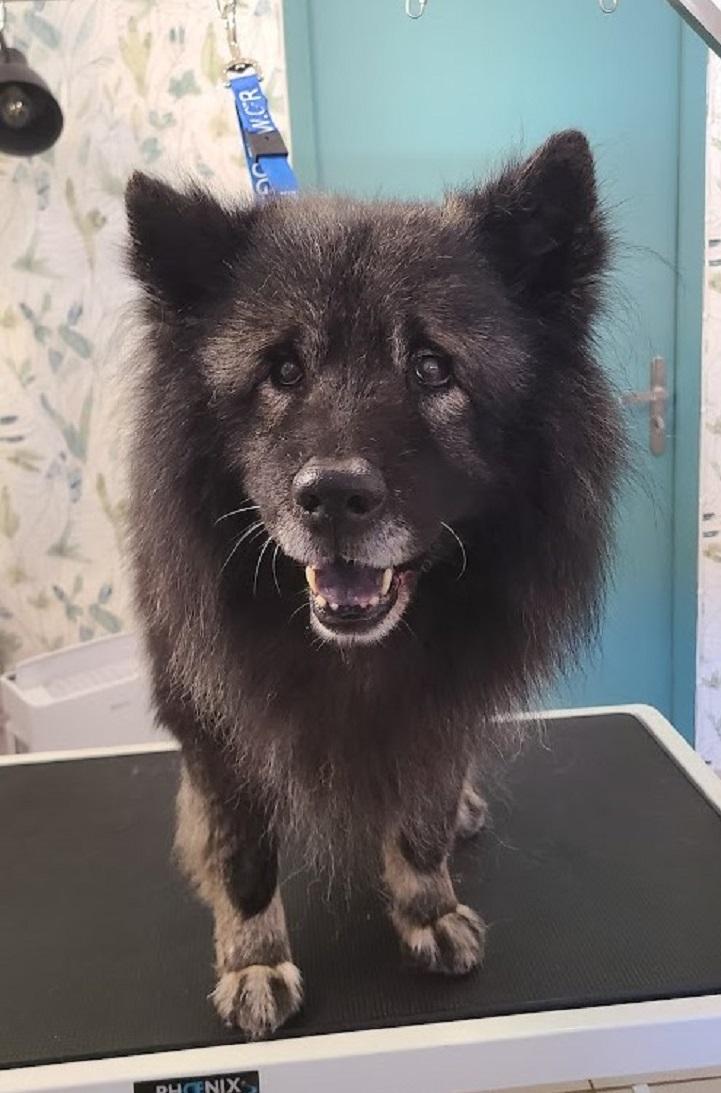 galerie image galerie image