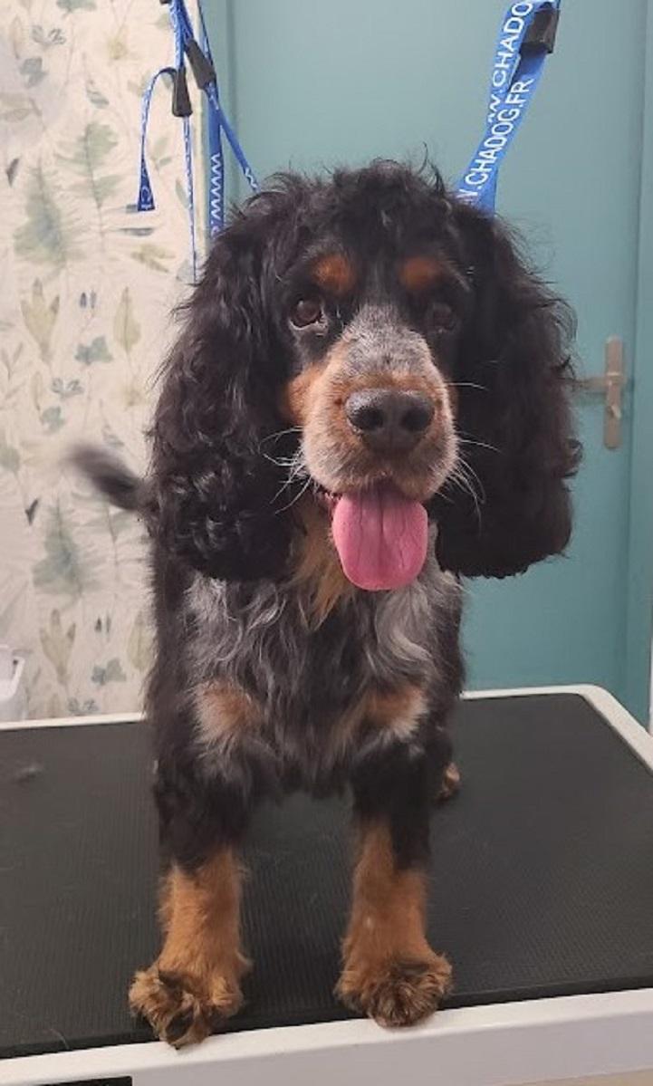 galerie image galerie image