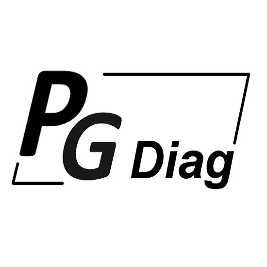 PG Diag conseil départemental