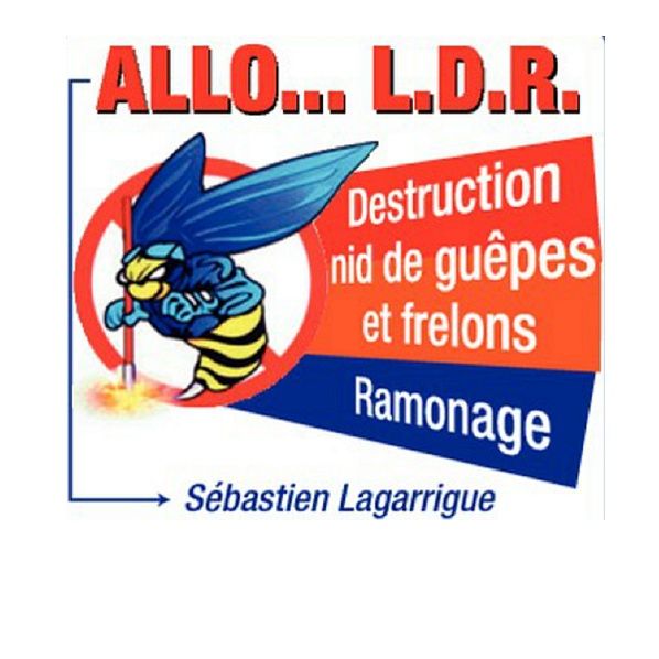 Allo LDR ramonage