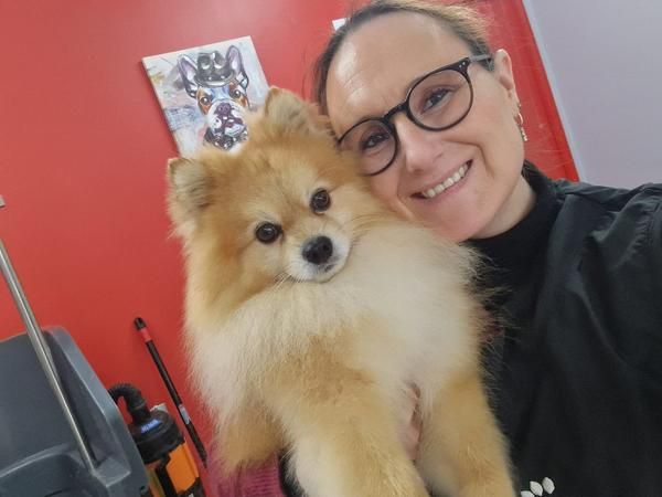 Hop les Poils toilettage de chien et chat