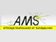 AMS - Affûtage Mulhousien & Sundgauvien