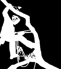 Delmas Jérome Expert