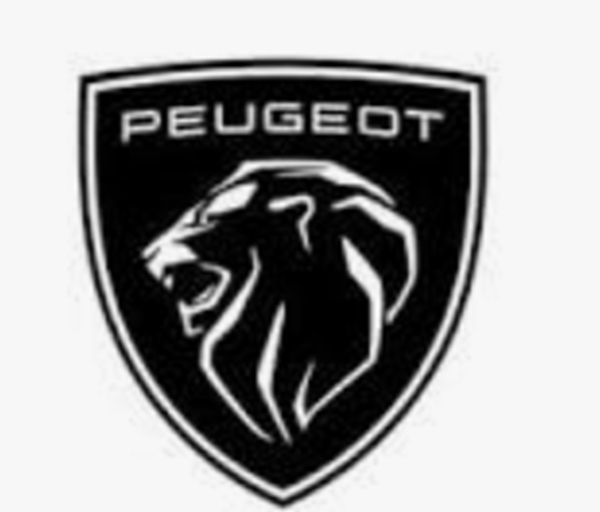PEUGEOT AUTO ELECTRICITÉ MEUNIER AGENT garage d'automobile, réparation