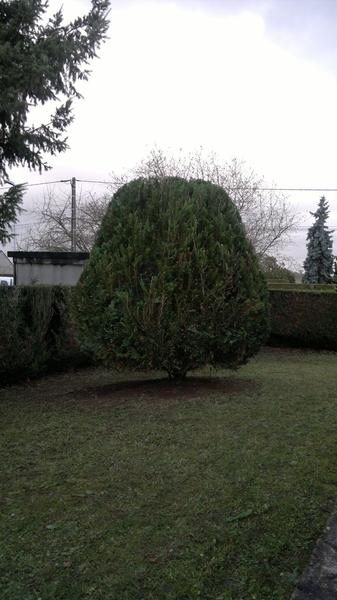 M. Van Loo Franck Expert