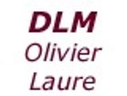 D L M Expert