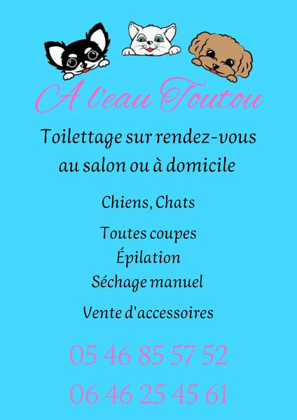 A l'Eau Toutou toilettage de chien et chat
