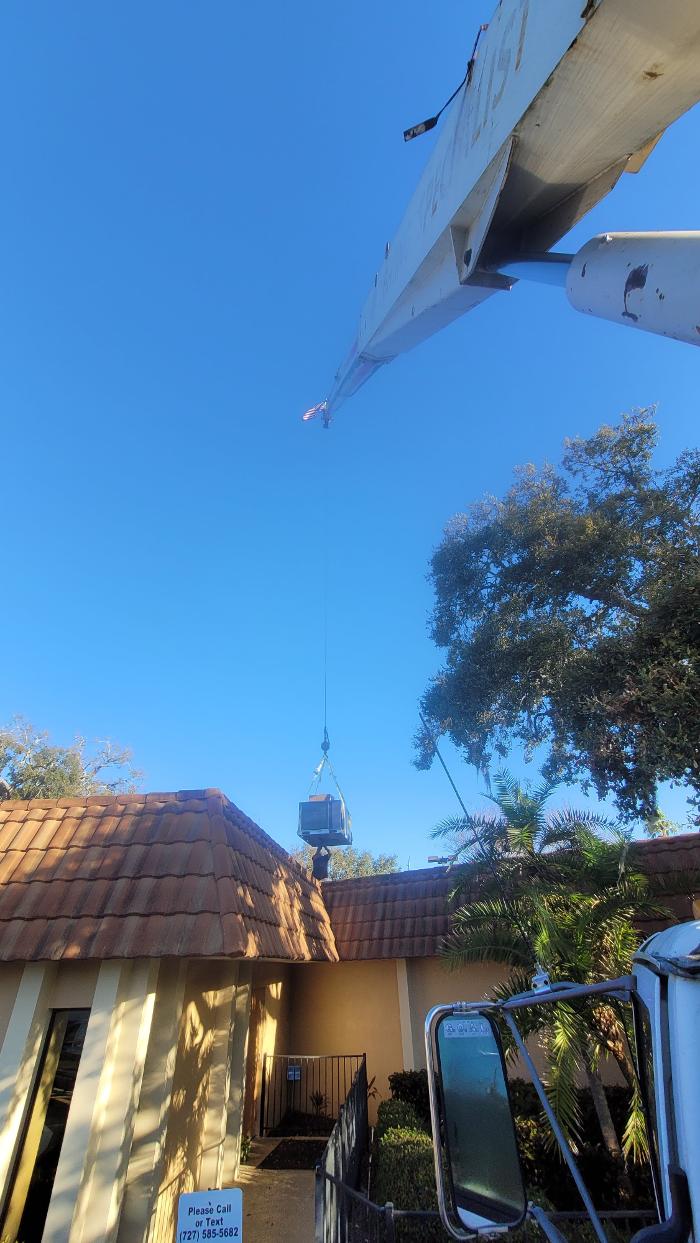 Greater Bay Area Tree & Arborist Services Image