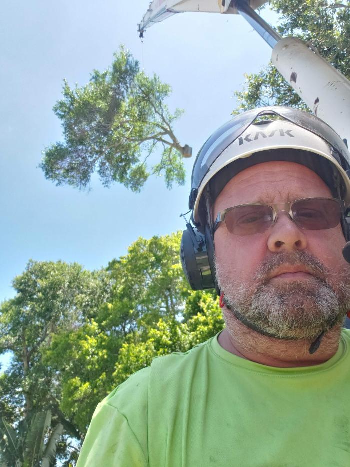 Greater Bay Area Tree & Arborist Services Image